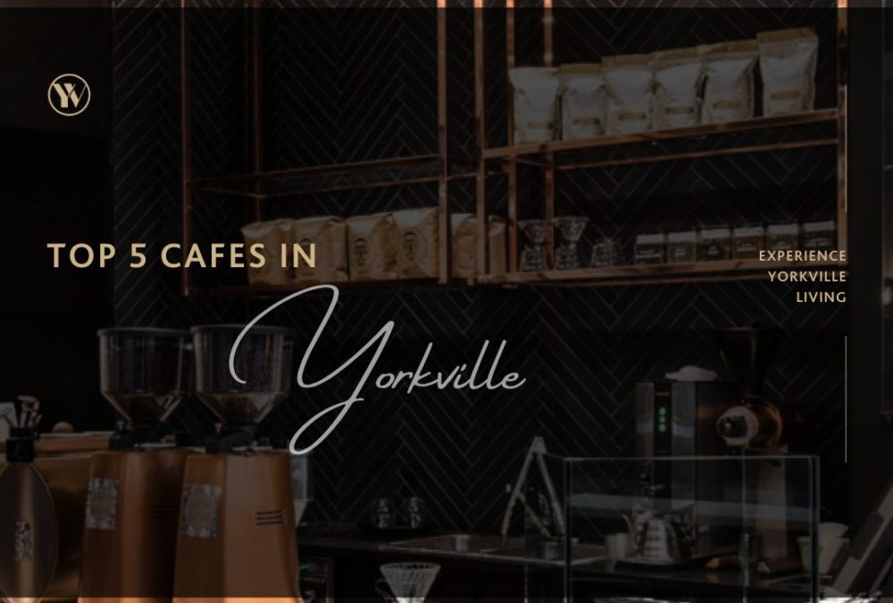 Top 5 Yorkville Cafés